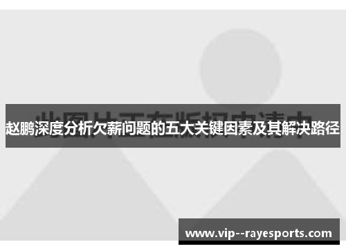 赵鹏深度分析欠薪问题的五大关键因素及其解决路径